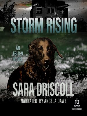 cover image of Storm Rising